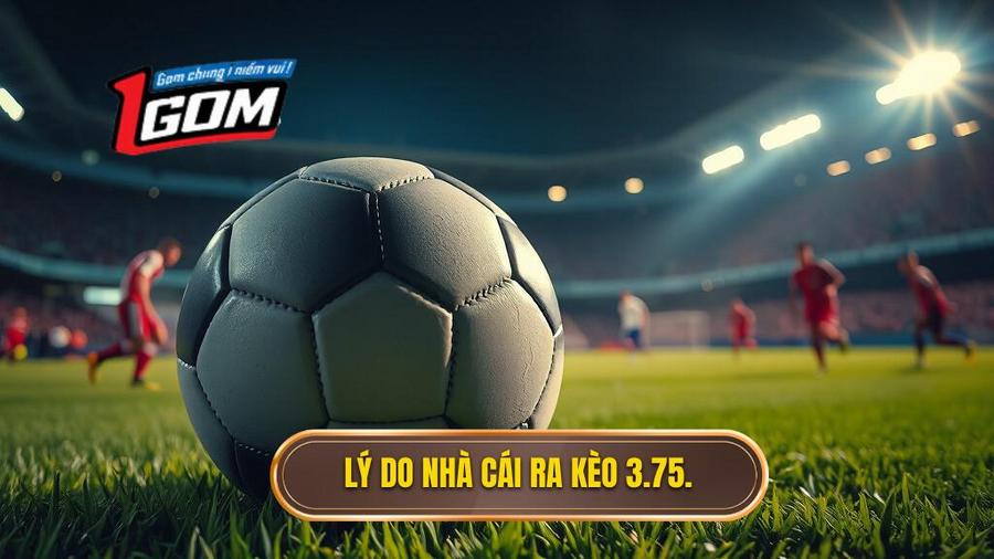 Lý do nhà cái ra kèo 3.75